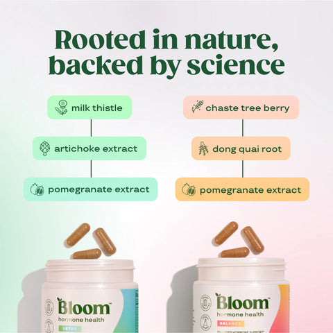 Hormone Health Intro Bundle